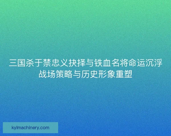 三国杀于禁忠义抉择与铁血名将命运沉浮战场策略与历史形象重塑 三国杀于禁忠义抉择与铁血名将命运沉浮战场策略与历史形象重塑