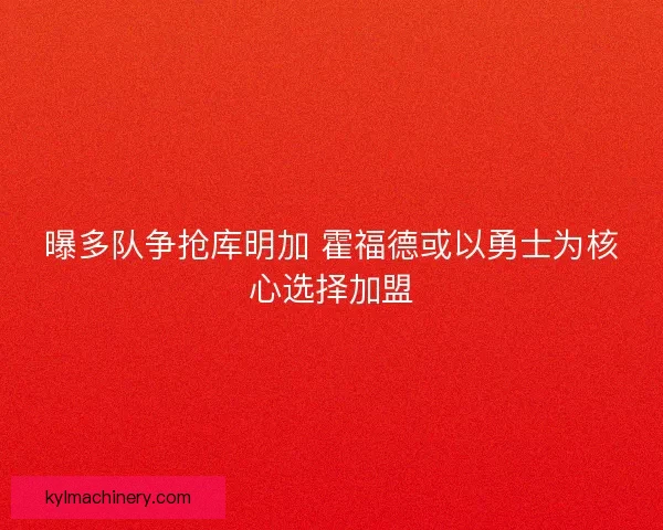 曝多队争抢库明加 霍福德或以勇士为核心选择加盟