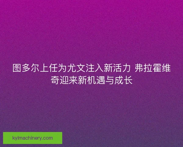 图多尔上任为尤文注入新活力 弗拉霍维奇迎来新机遇与成长 图多尔上任为尤文注入新活力 弗拉霍维奇迎来新机遇与成长