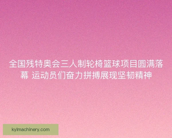 全国残特奥会三人制轮椅篮球项目圆满落幕 运动员们奋力拼搏展现坚韧精神 全国残特奥会三人制轮椅篮球项目圆满落幕 运动员们奋力拼搏展现坚韧精神